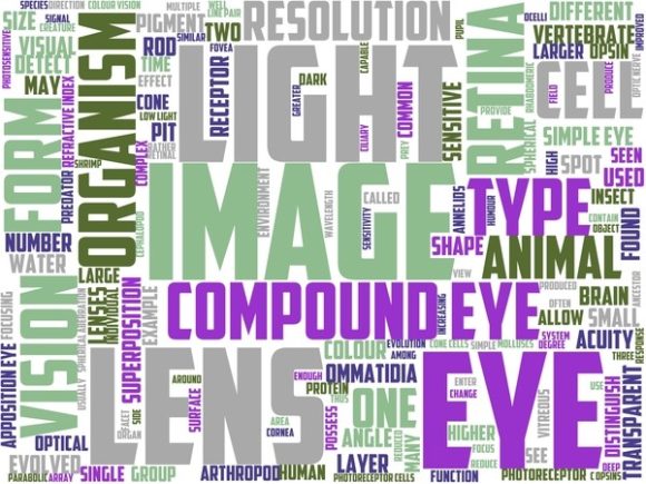 Rye Wordart Crafting: A Creative Way to Elevate Your Designs