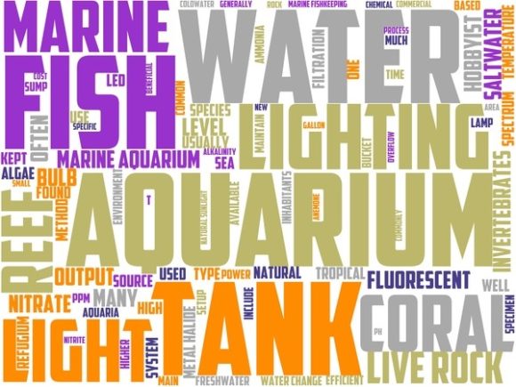 Saltwater Aquariums Wordart Wallpaper: A Creative Resource for Designers and Enthusiasts