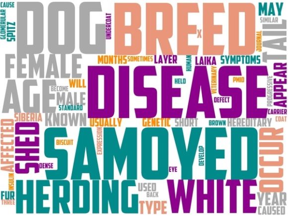 Samoyed Wordart Book Cover: A Unique Blend of Art and Functionality