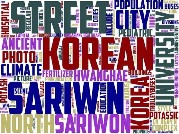 Sariwon Wordart Tshirt: A Creative and Versatile Design for Personal Expression